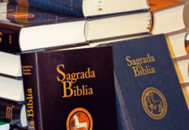 varias biblias de la CEE