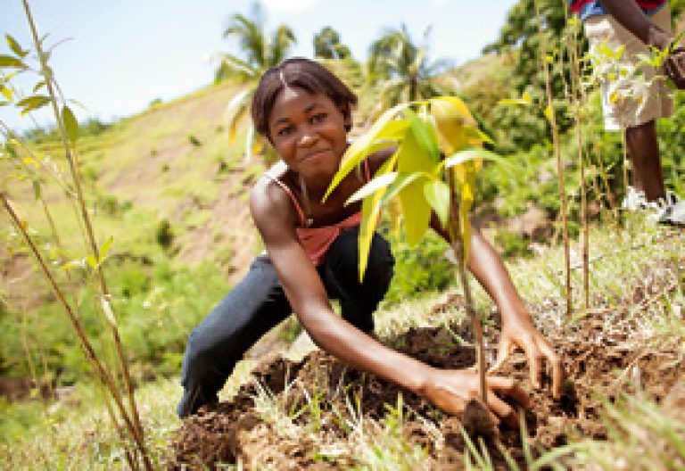 chica africana planta un árbol