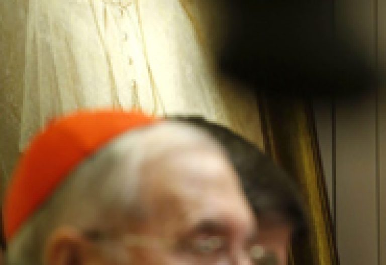 cardenal Rouco y cuadro Benedicto XVI