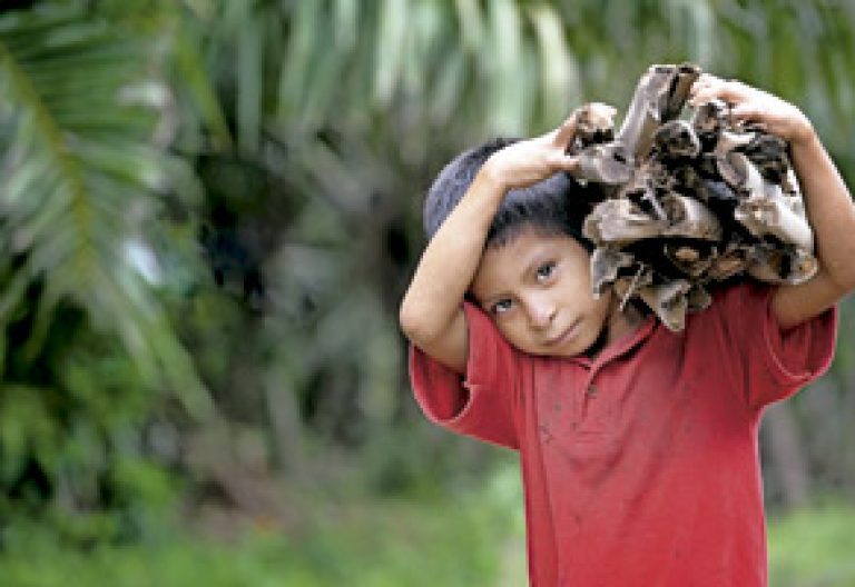 niño en Honduras transporta un atillo de leña