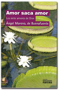 Amor saca amor, libro de Ángel Moreno, de Buenafuente, publicado por Narcea