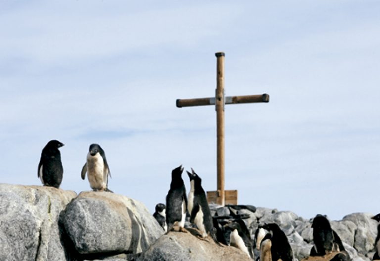 pingüinos entre las rocas al lado de un crucifijo