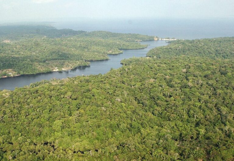 La Iglesia de Brasil sale en defensa de la Amazonía