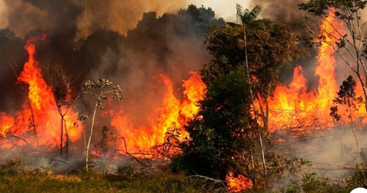 Solidaridad de la Iglesia en México ante los incendios 