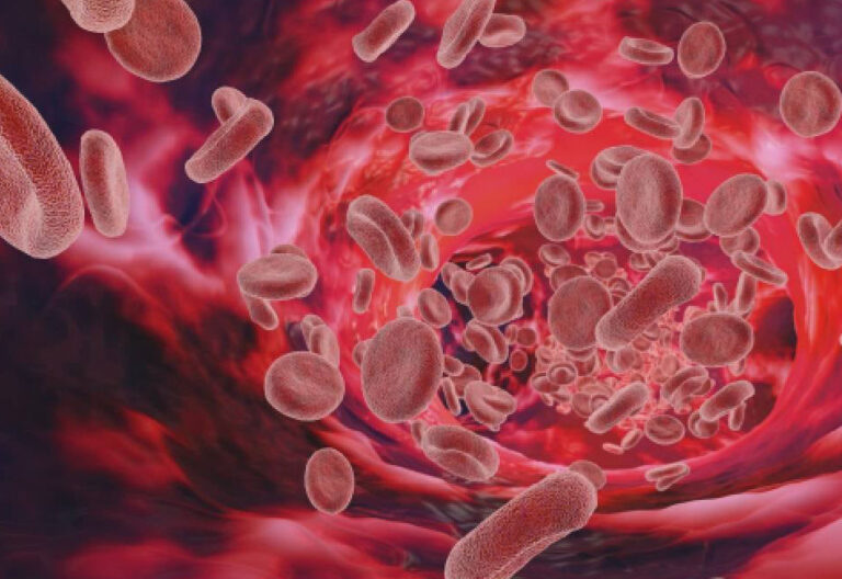 Imagen de glóbulos rojos en la sangre