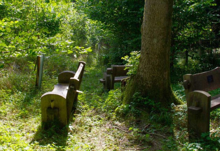 Cementerio natural