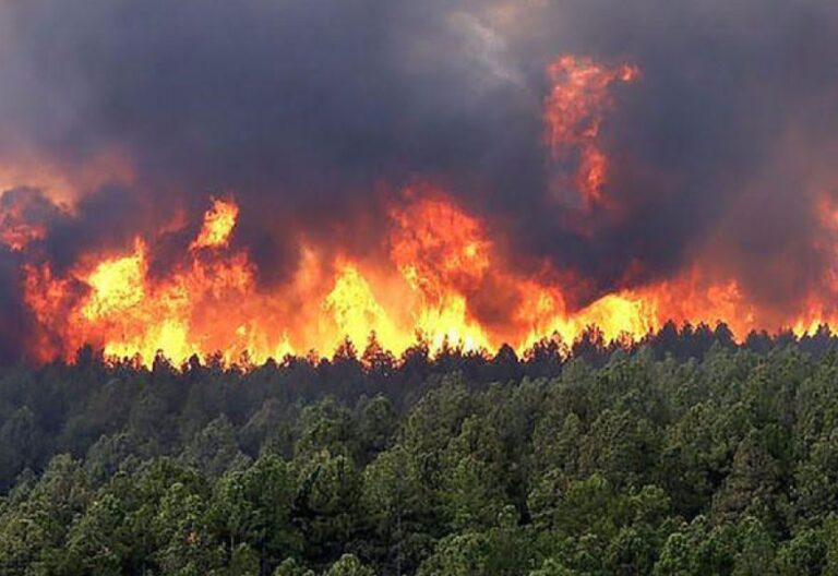 El clamor de los obispos de Colombia por los incendios forestales