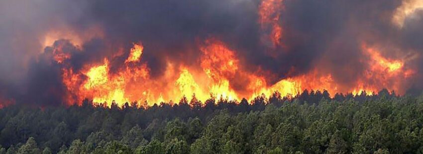 El clamor de los obispos de Colombia por los incendios forestales