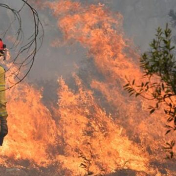 Obispos bolivianos lanzan SOS por incendios forestales: “Vivimos un desastre ecológico”