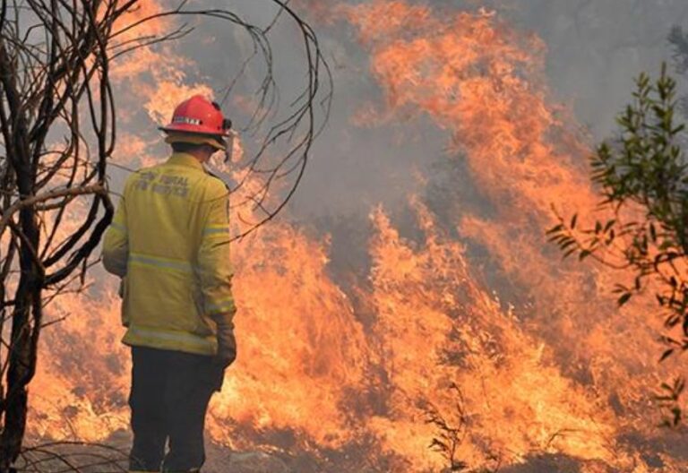 Obispos bolivianos lanzan SOS por incendios forestales: “Vivimos un desastre ecológico”