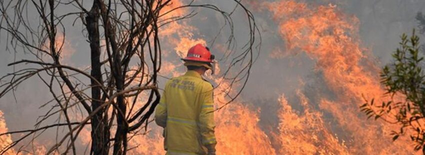 Obispos bolivianos lanzan SOS por incendios forestales: “Vivimos un desastre ecológico”