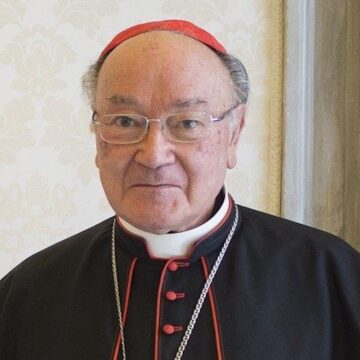 cardenal Raffaele Martino