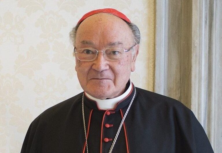 cardenal Raffaele Martino