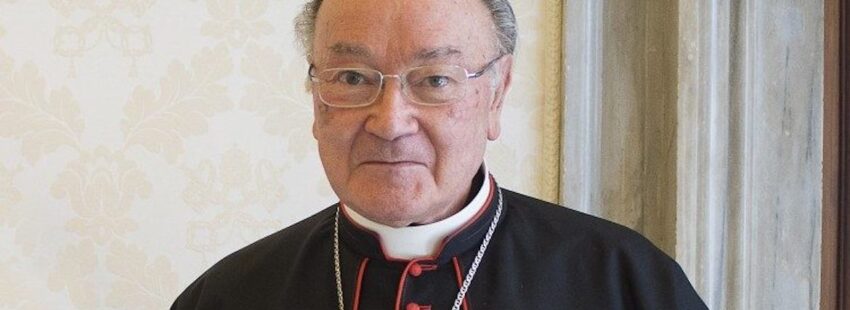 cardenal Raffaele Martino