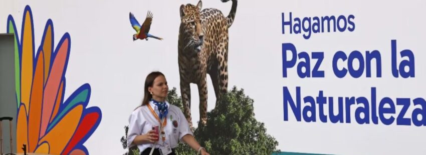 Arranca la COP 16 en Colombia y el arzobispo de Cali aboga para que no solo sea “un evento