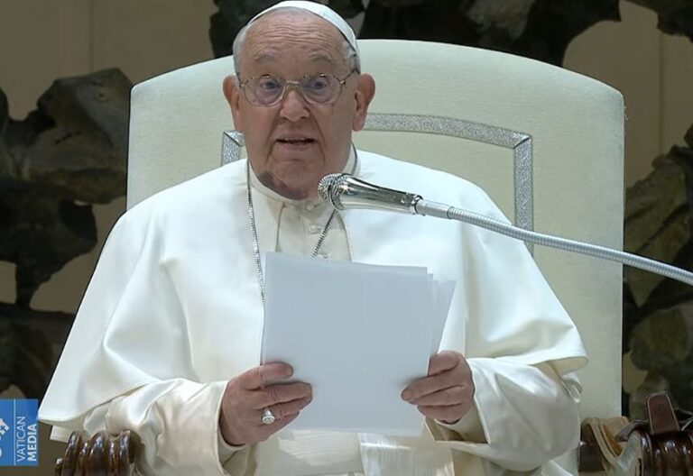 El papa Francisco, durante su audiencia semanal (fuente: Vatican Media)