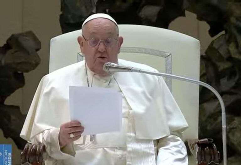 El papa Francisco en la Audiencia General (fuente: Vatican Media)