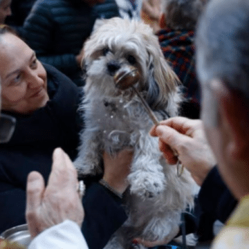 El Arca de Noé de Chueca: bendiciones para animales de todas las especies en el día de San Antón