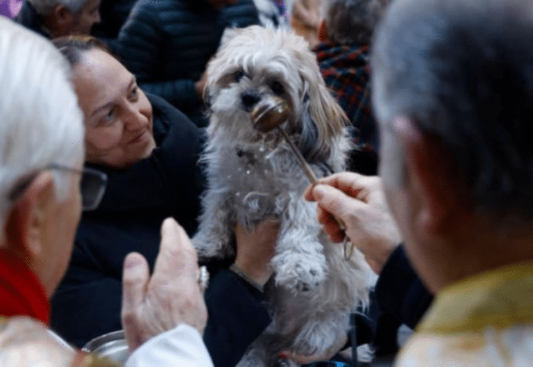 El Arca de Noé de Chueca: bendiciones para animales de todas las especies en el día de San Antón